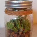 DIY Plant in a Jar