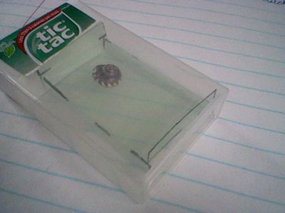 Tic Tac Maze