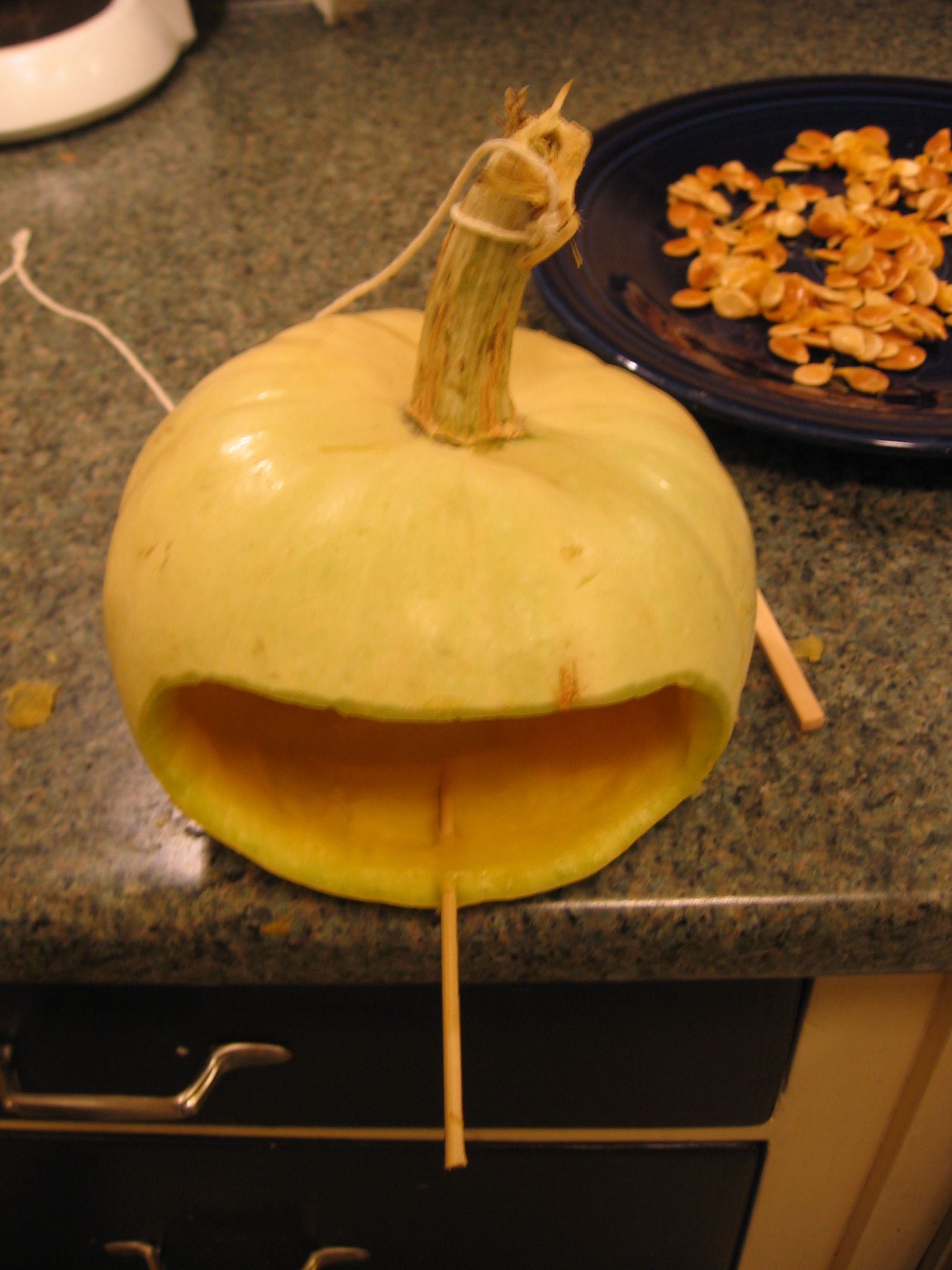 Pumpkin Bird Feeder
