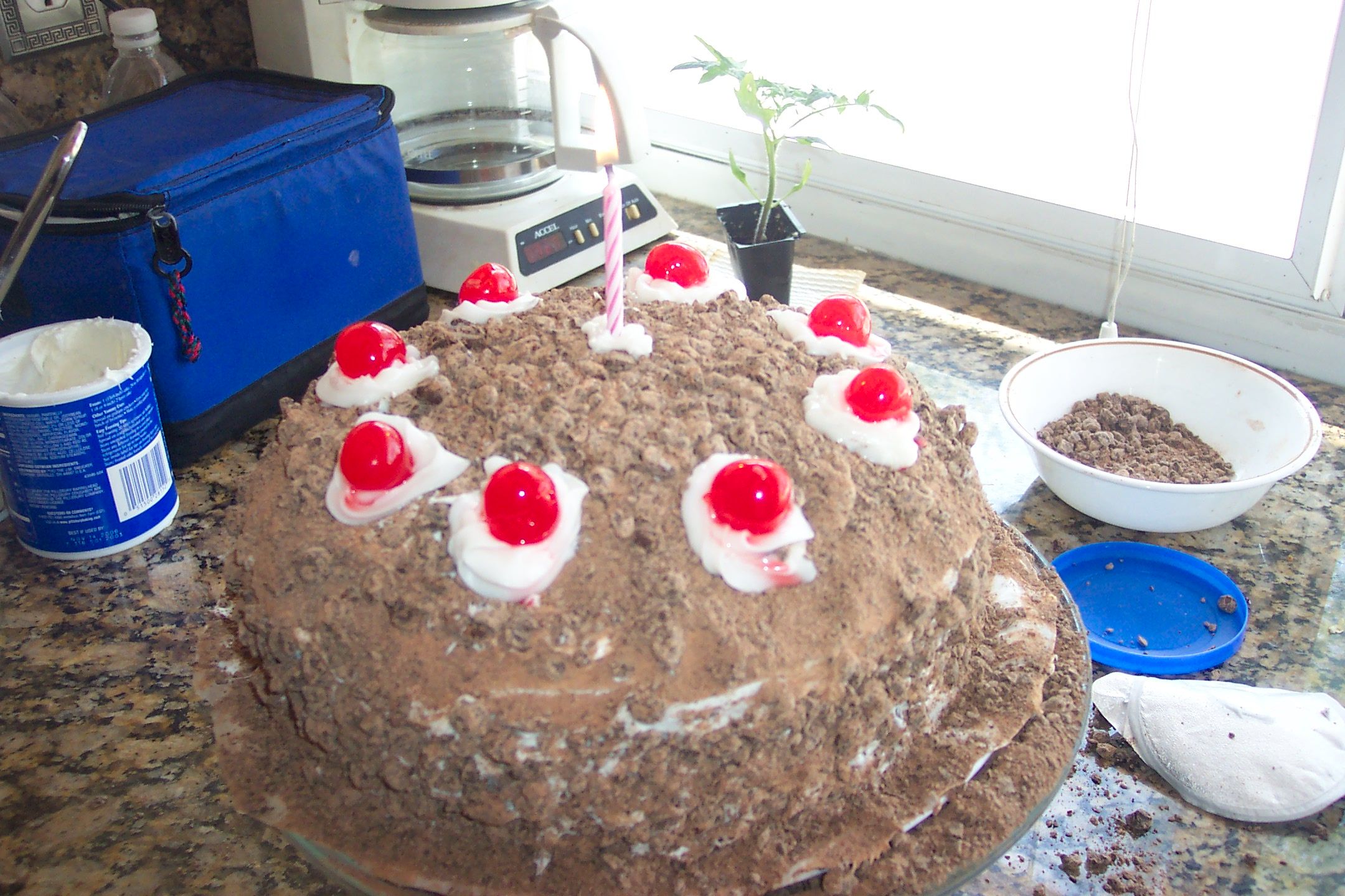 Portal Cake (NOT a Lie)