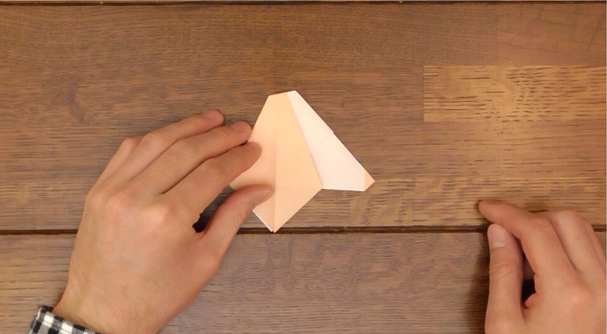 How to Make Head Nod in Dogs! 15 Steps (with Pictures) Instructables