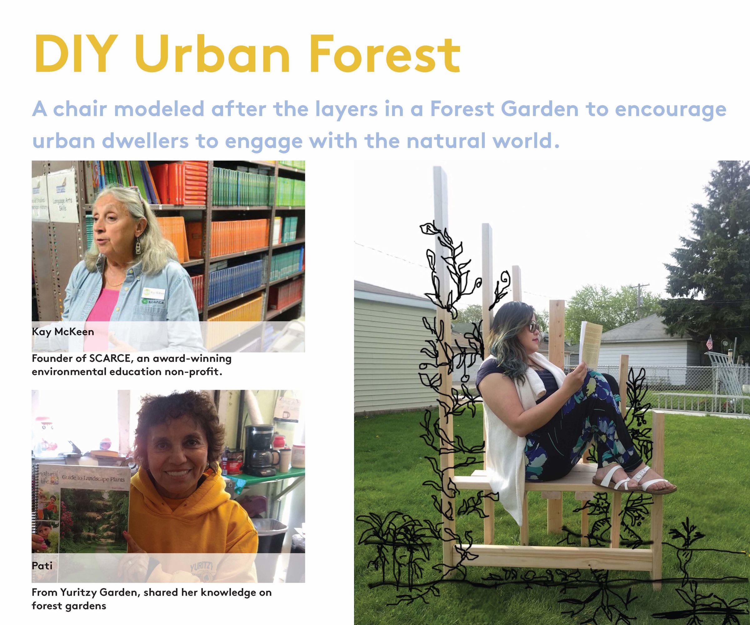DIY: Urban Forest Garden