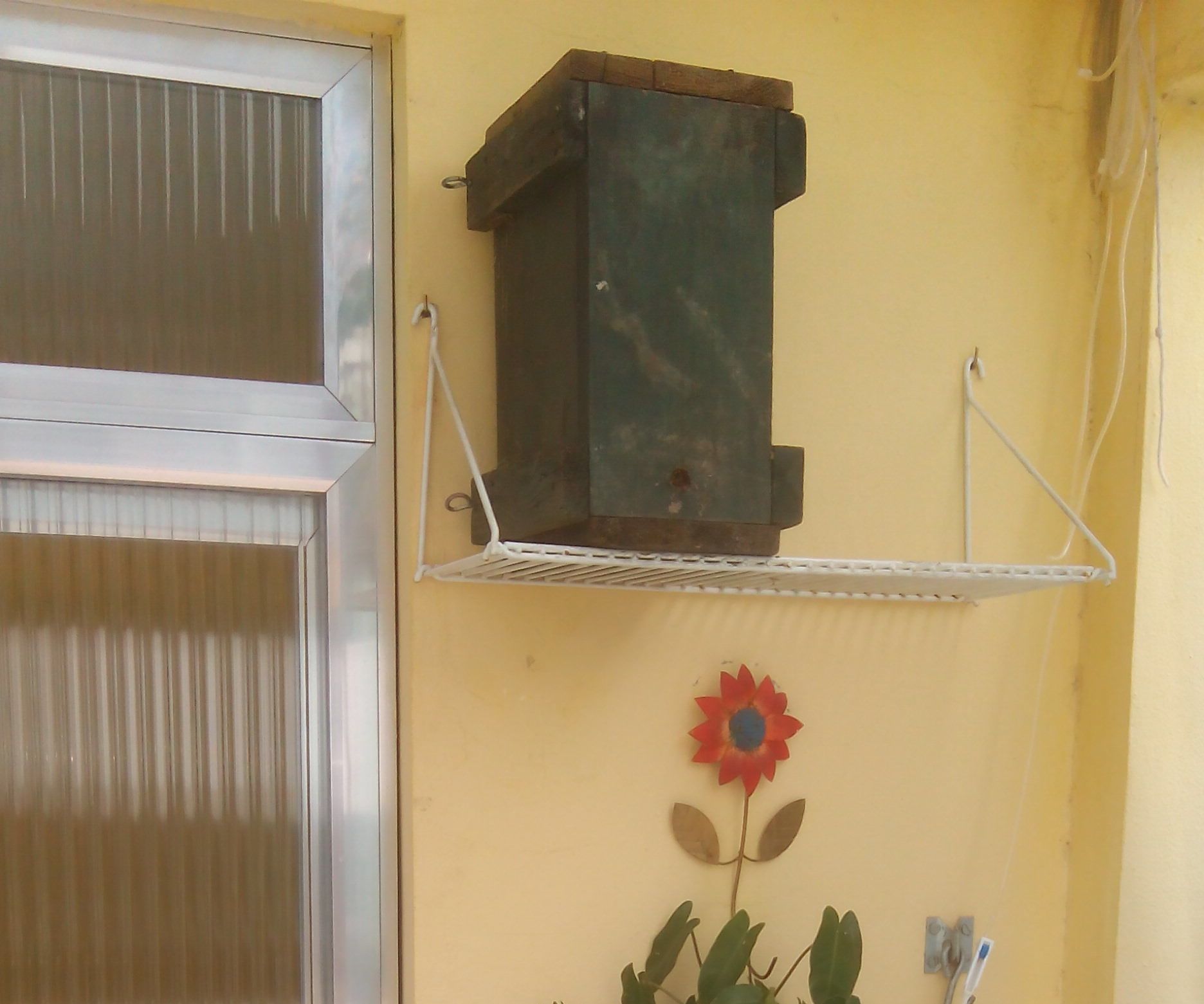 Brazilian Native Stingless Bee - 3d Printing Honeycomb