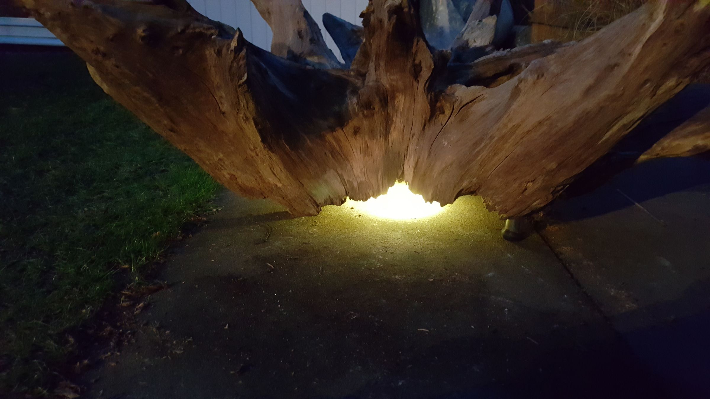 Tree Root Table With Custom Glass Top and Underlight 10 Steps (with
