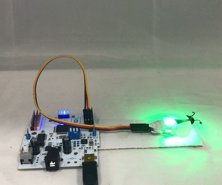 Fire Fly  Using Ebot.