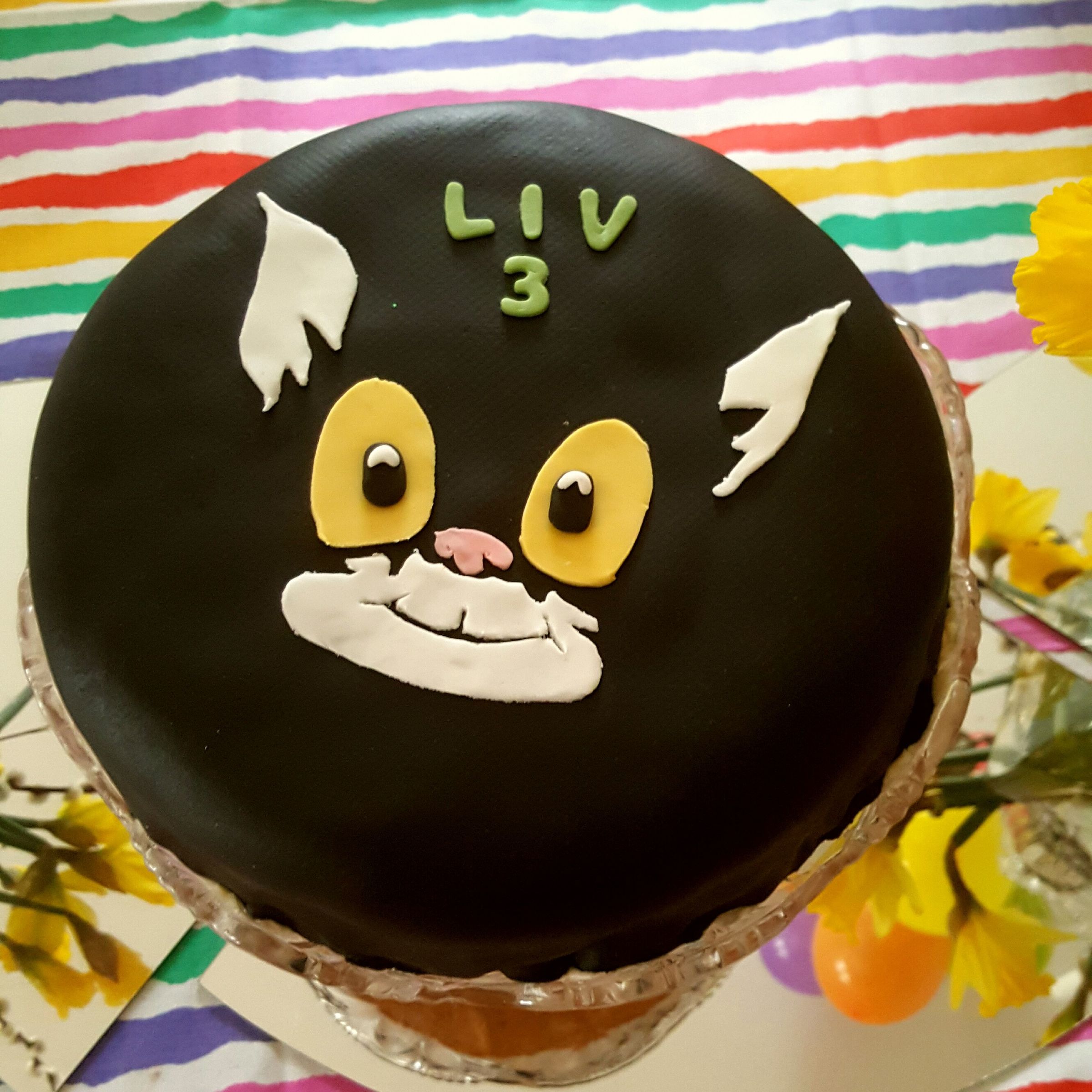 Katten Jansson Cake