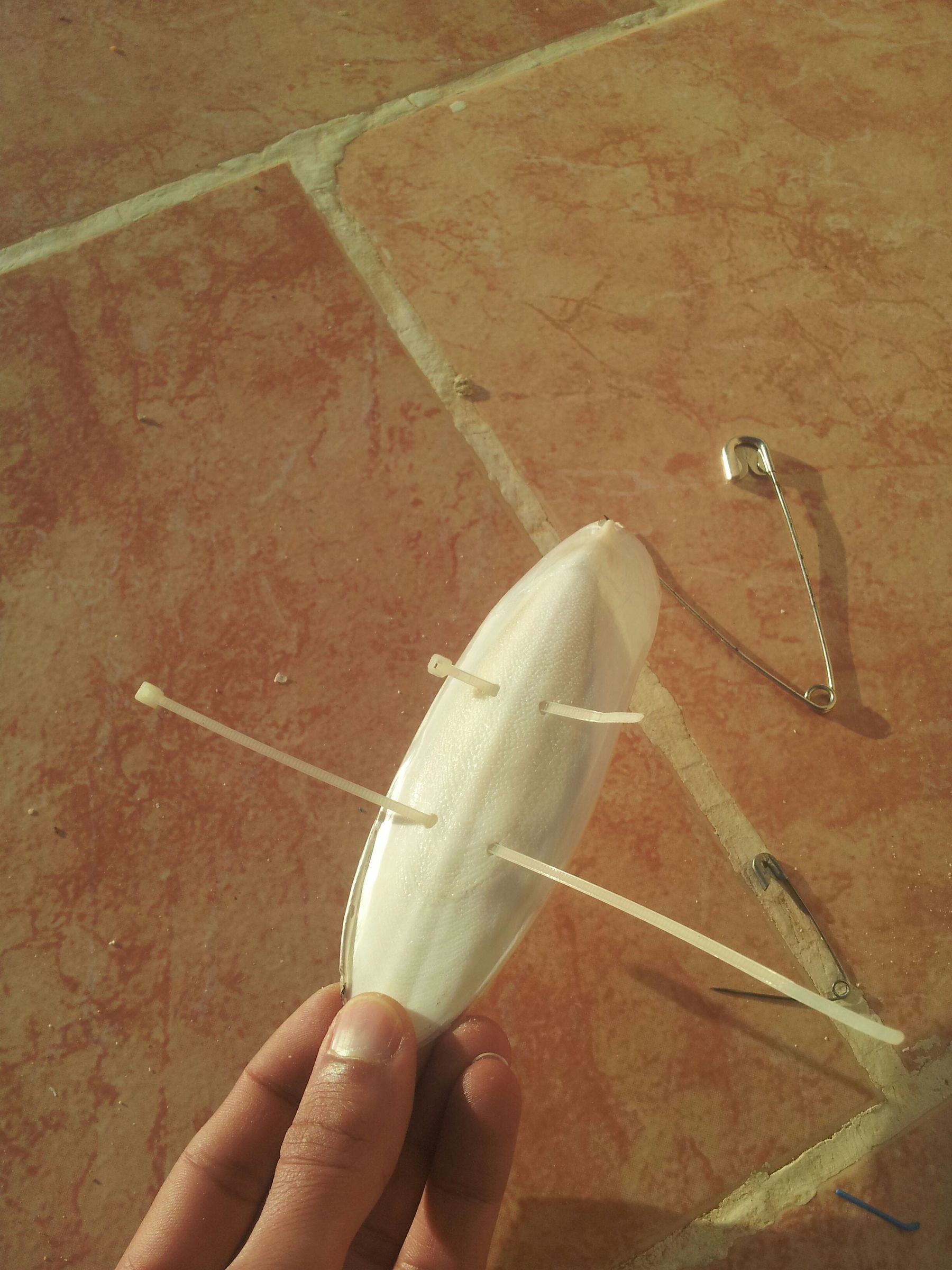 how to attach a cuttlebone to a bird cage iucnccsg