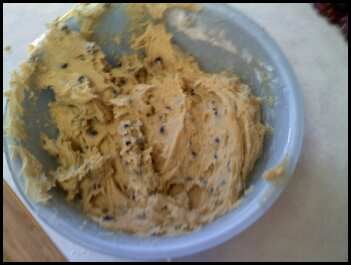 Chocolate Chips!!!!!!!!!!!