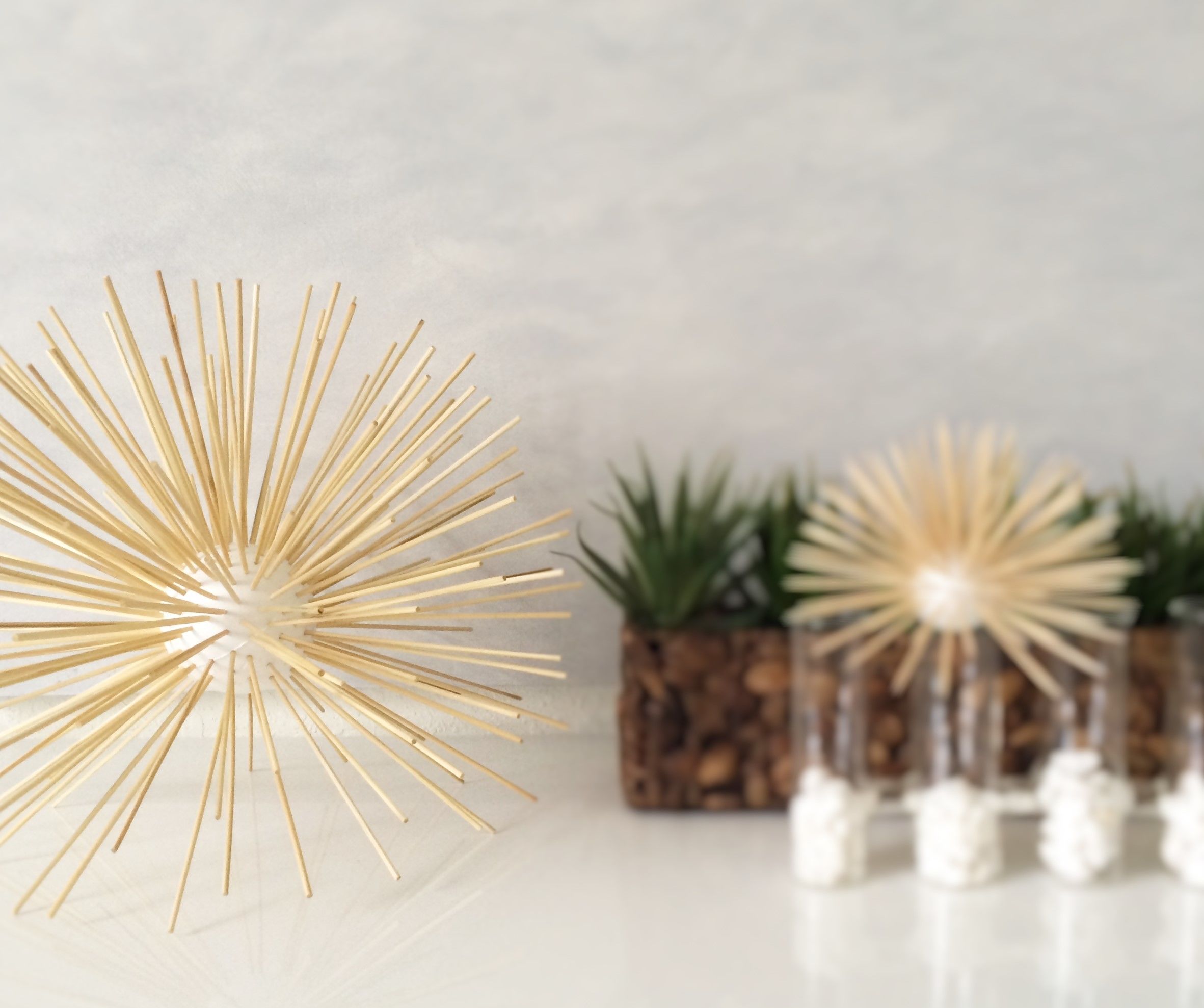 Decorative Sea Urchin