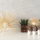 Decorative Sea Urchin