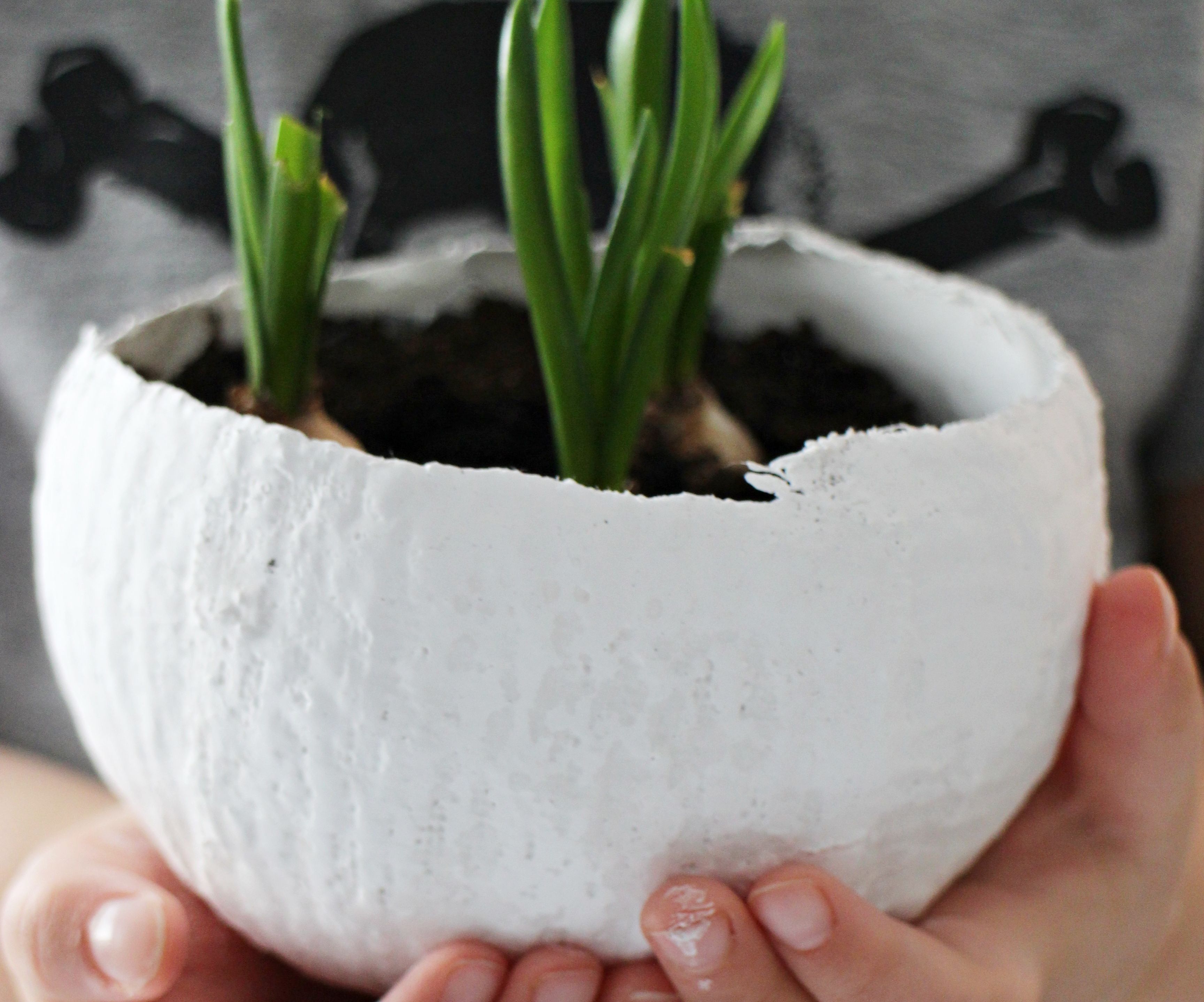 Plaster Egg Bowls