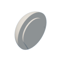 download {{ file.name }}