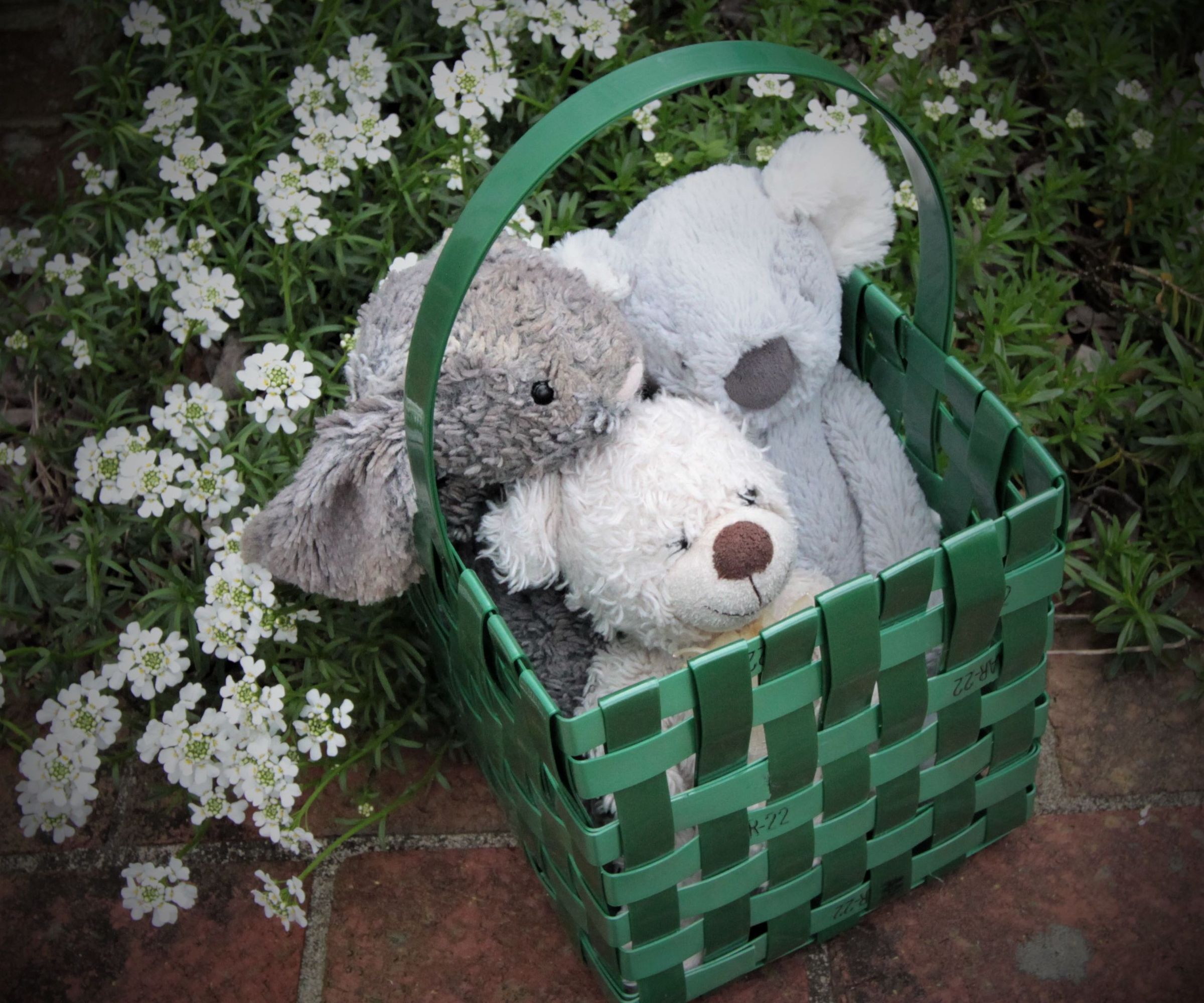Fantastic Plastic Basket - Woven With Polyester Straps