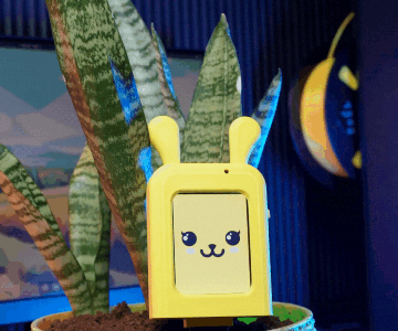 Bloom Buddy