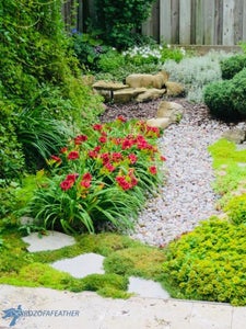 The Mature Garden