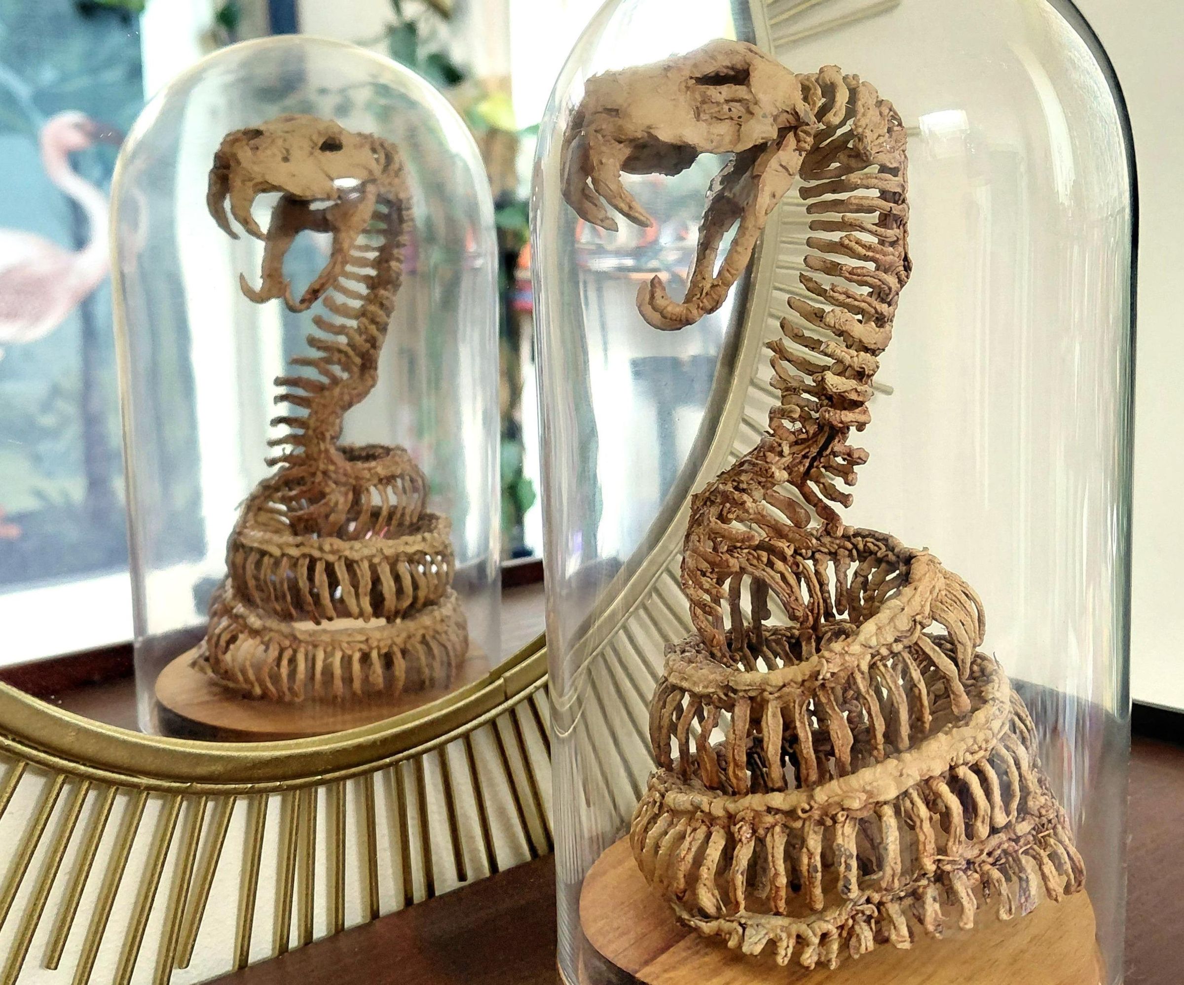 Snake Skeleton - 3d Printing Pen
