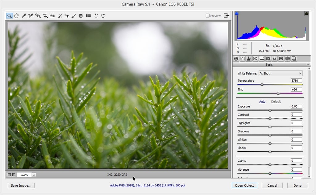 Bring Into Adobe Camera Raw Bring Into Adobe Camera Raw