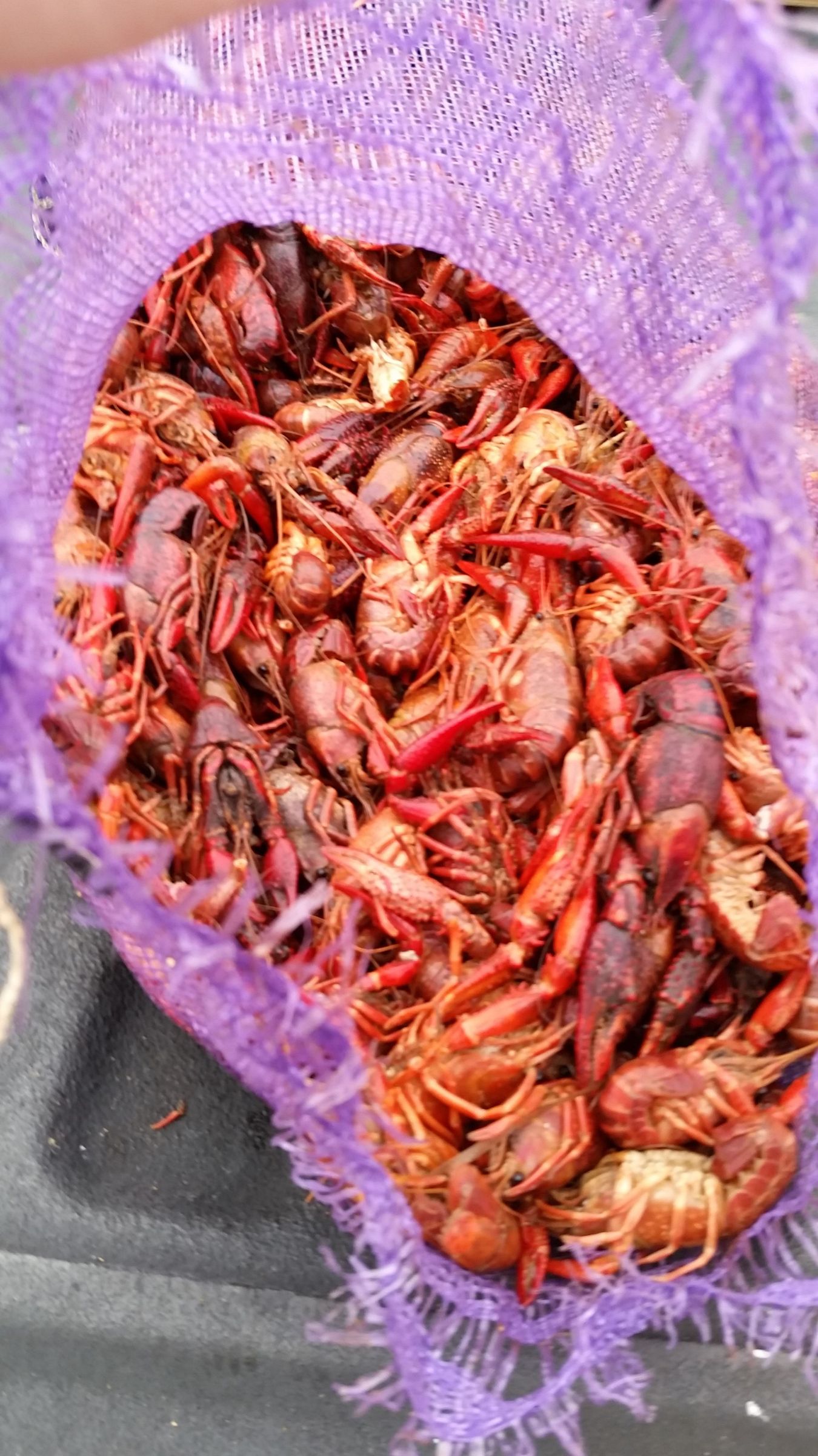 How to Peel Crawfish