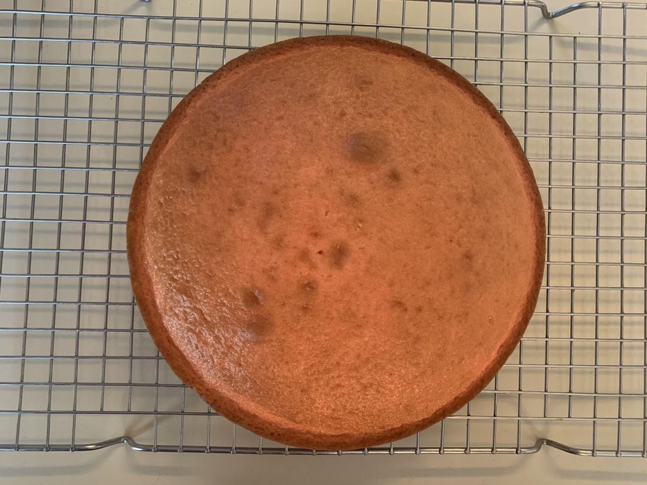 Edible Cell Cake : 4 Steps - Instructables