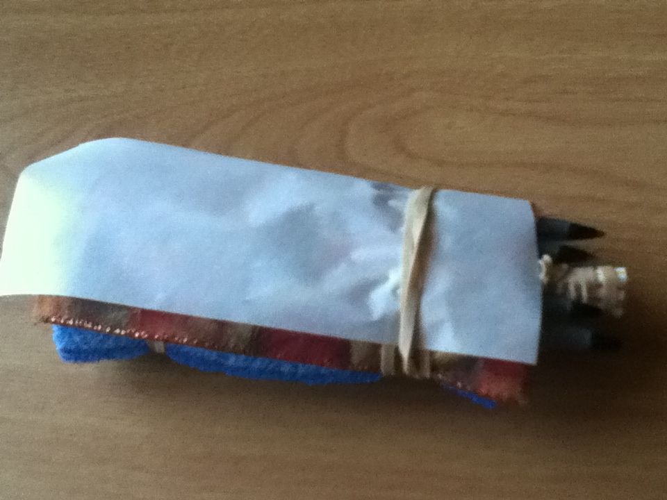 How to Make a Leaf(Bio Honors Project)