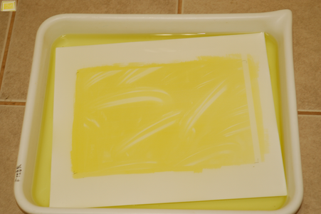 Tri-color Gum Bichromate Prints From Digital Images : 13 Steps (with ...