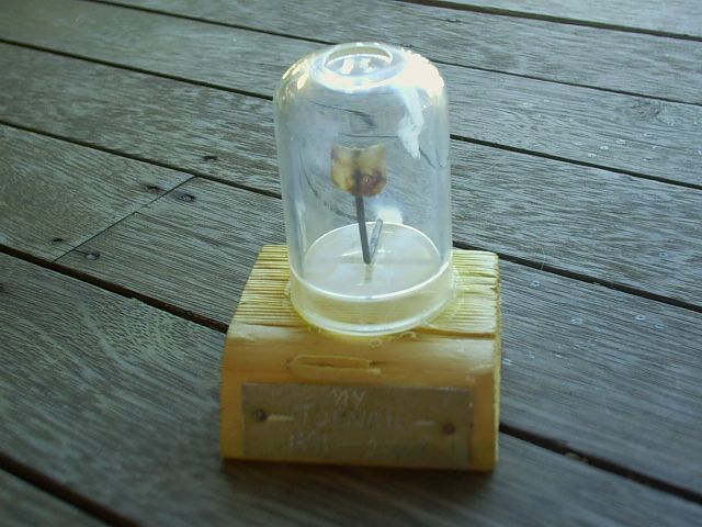 How I Mounted My Toenail