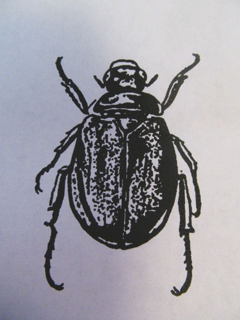 Drawn on Beetle Shoes