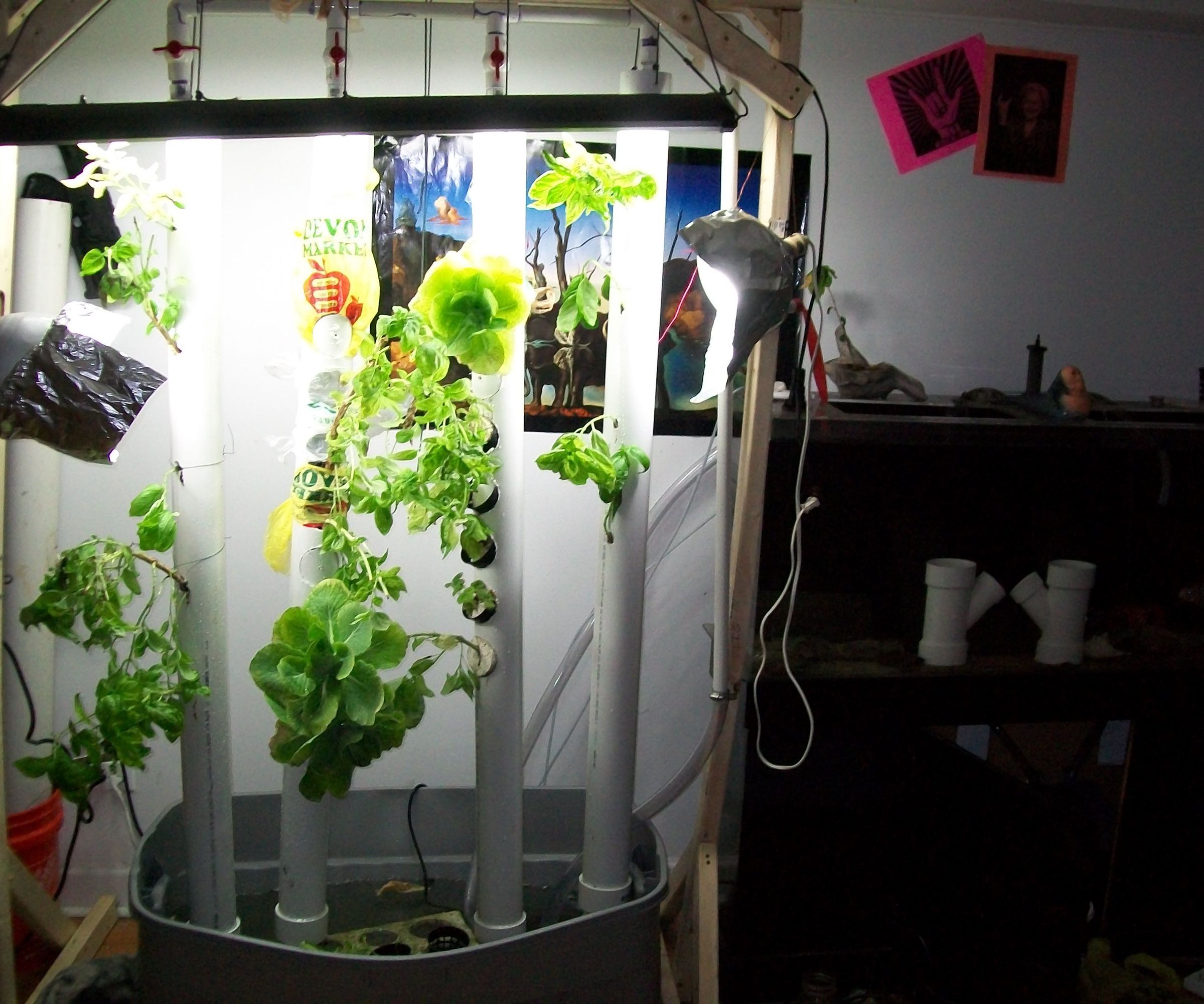 Vertical Aquaponic Garden