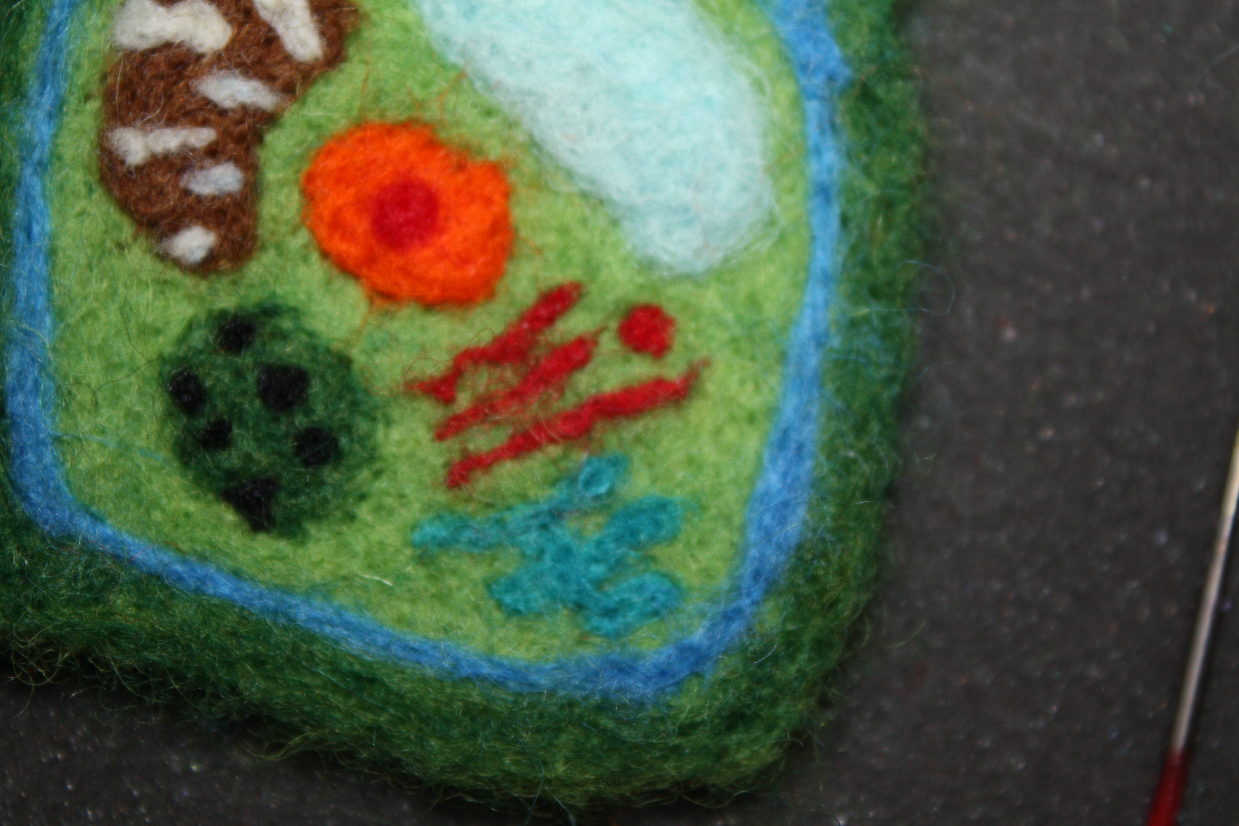 Needle Felted Plant Cell 11 Steps (with Pictures) Instructables