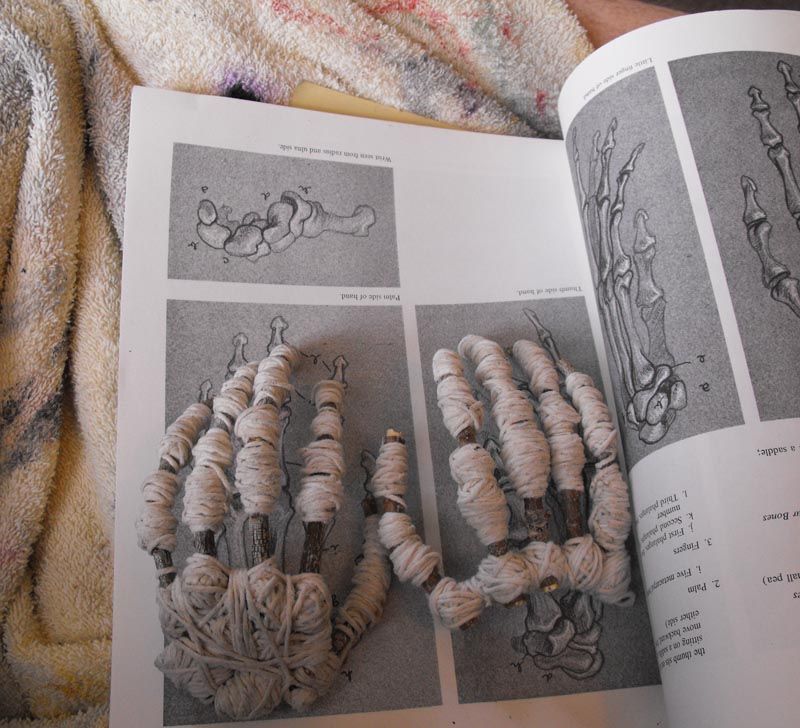 Stick and String Bones