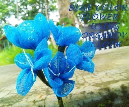 A FLOWER of BLUE Color