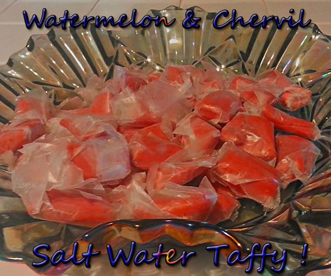 Watermelon Chervil Saltwater Taffy !