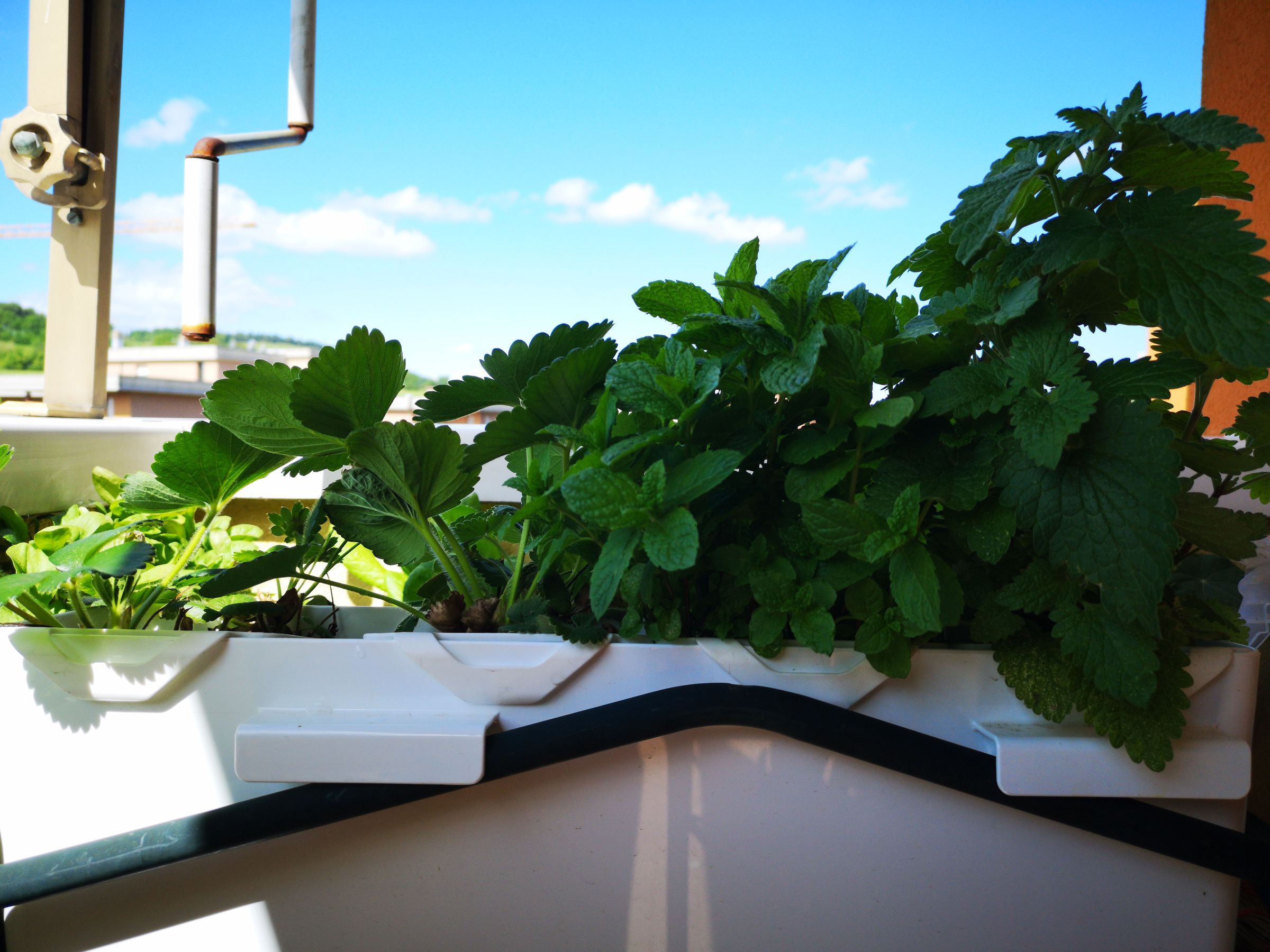 IKEA Self Watering System 9 Steps (with Pictures) Instructables