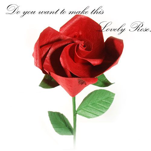 How to Make an Origami Valentines Day Lovely Rose!