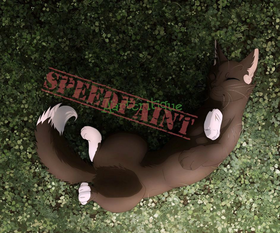 Cat Speedpaint and How to Make a Speedpaint