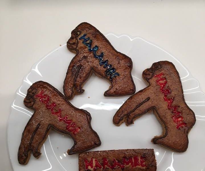 DIY Harambe Cookie Cutter