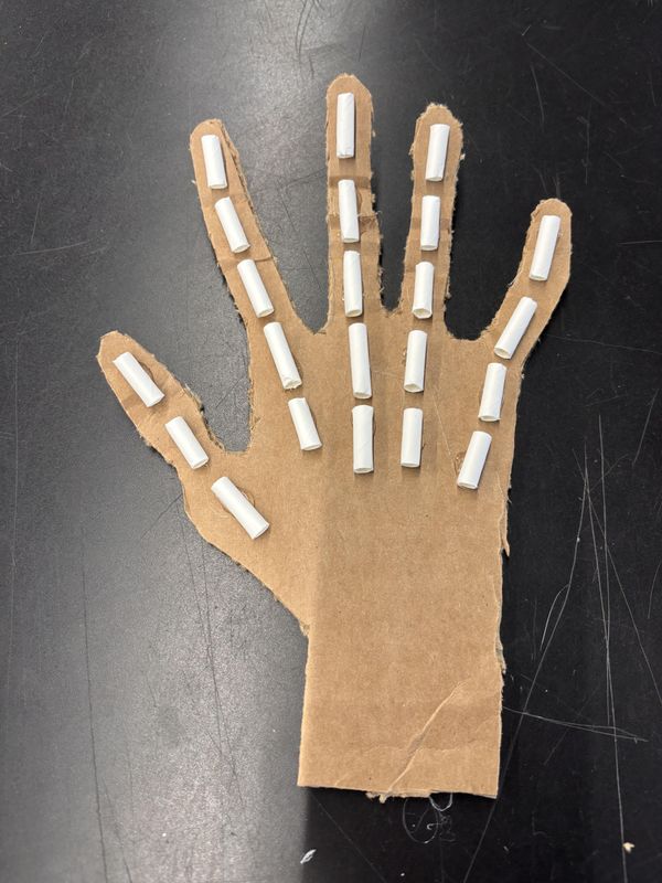 Instructables Hand Easy Cardboard Prototype of a Movable Hand : 5 Steps - Instructables