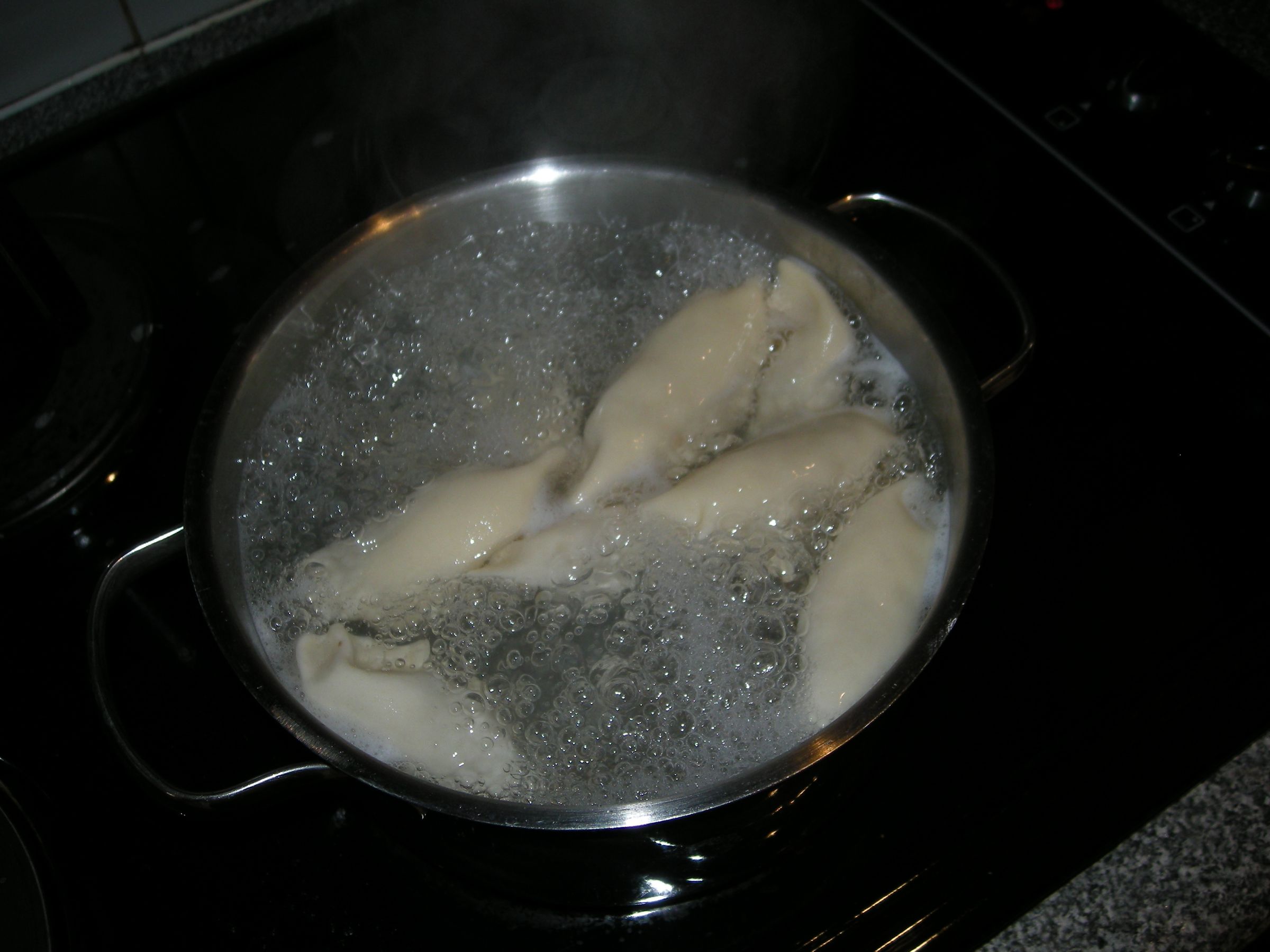 Chinese Pork Dumplings