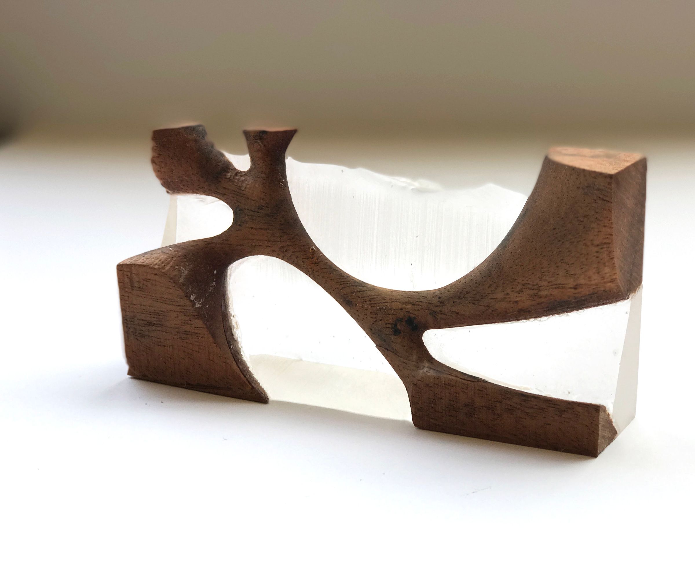 Organic Wood and Resin Object