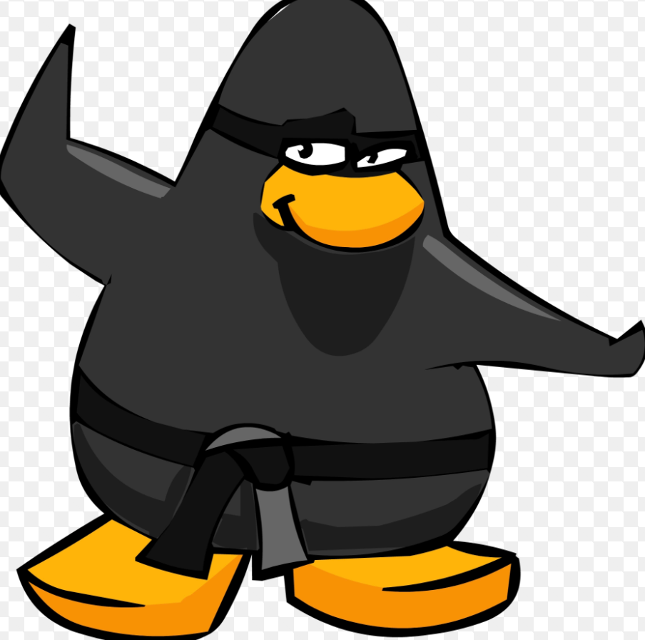 -NinjaPenguin