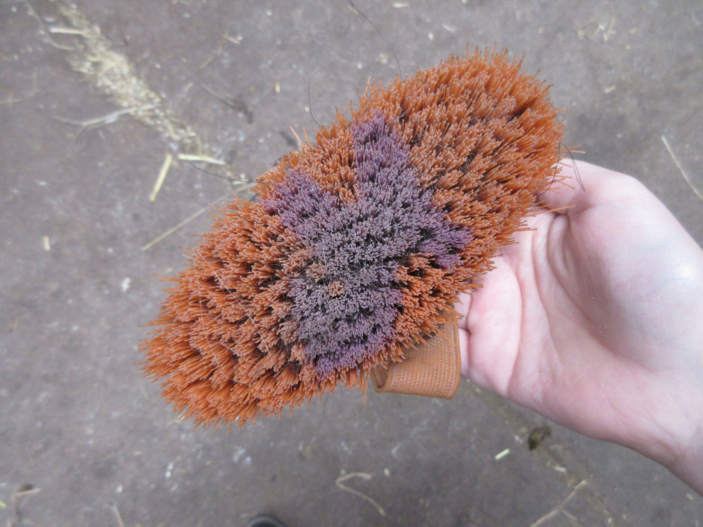 Getting Ready for Horse Riding! : 11 Steps (with Pictures) - Instructables