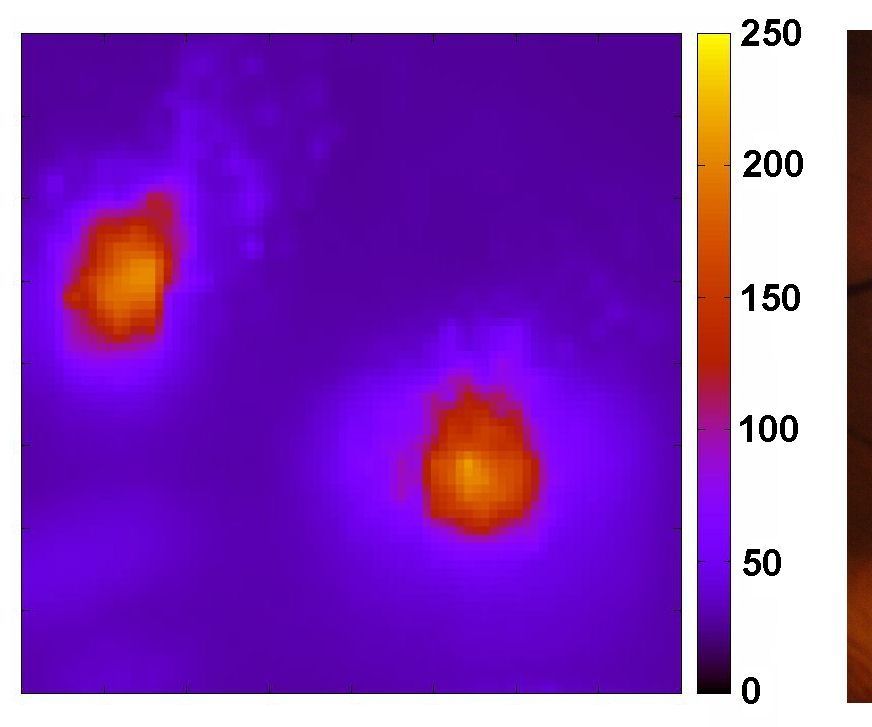 DIY Thermal Imaging Infrared Camera