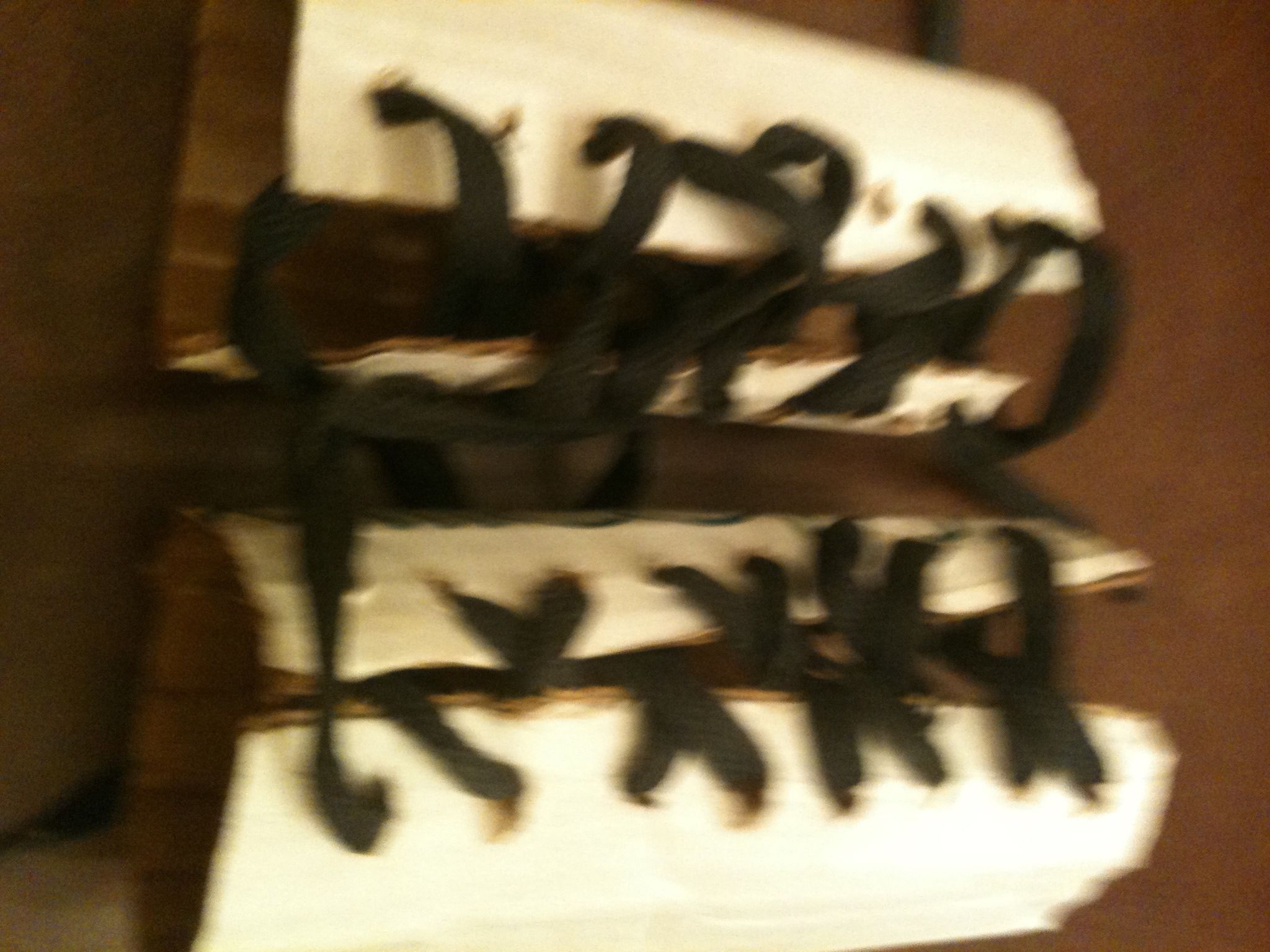 Van braces For My Roman Costum.