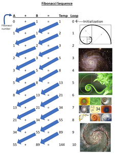 Graphical Explanation of Fibonacci Sequence