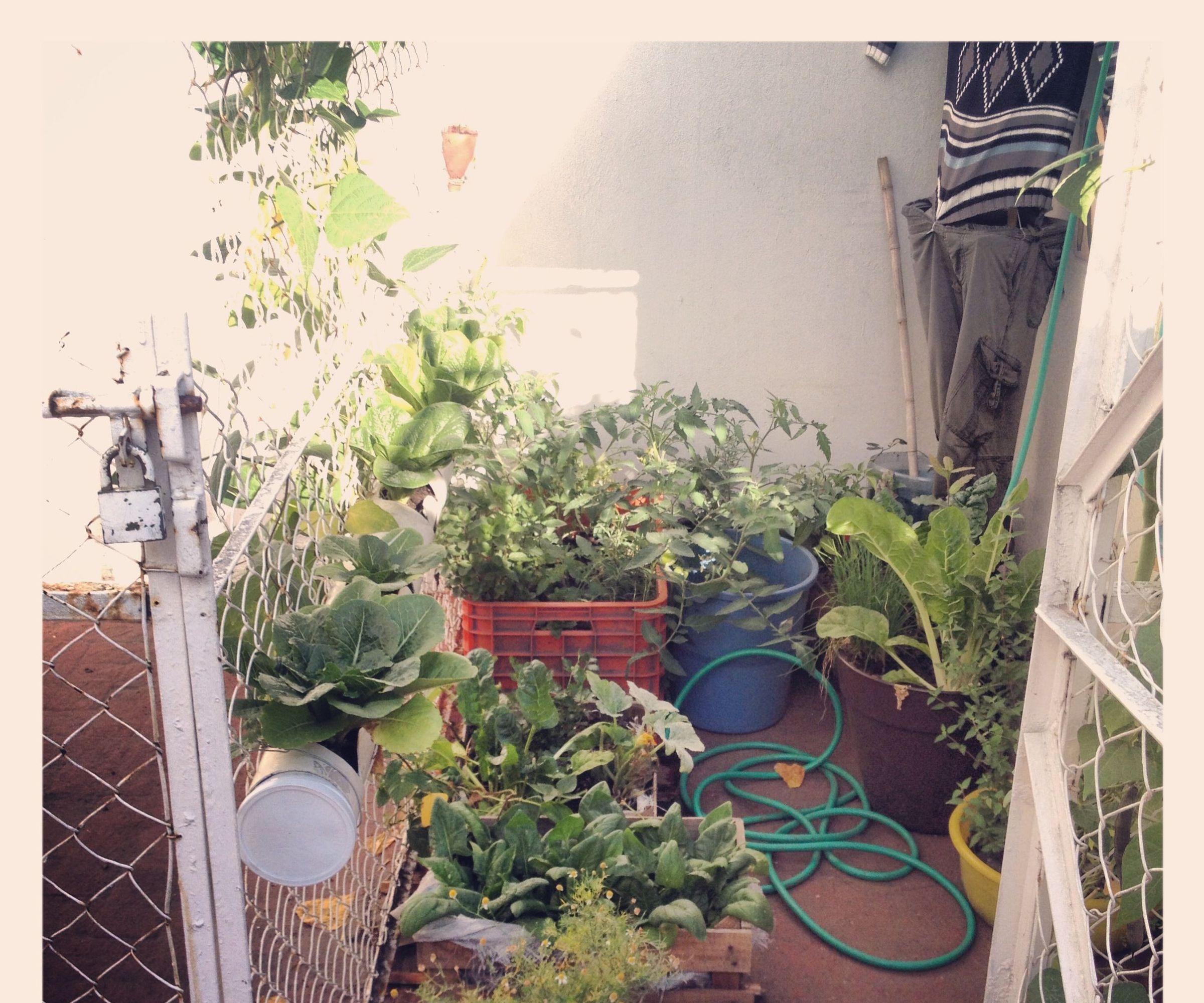 Jardín Vertical De PVC