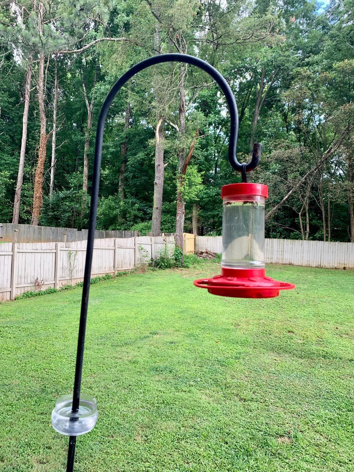 Ant Moat for Hummingbird Feeder Instructables