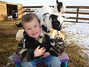 How to Care for Fainting Goats