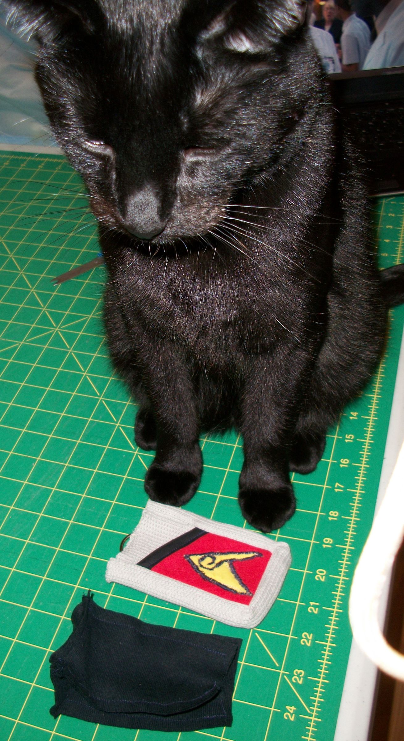 Insulin Pump Case 9 Steps Instructables