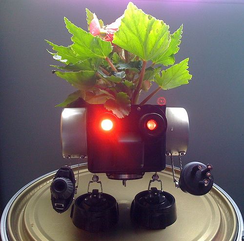 New Robo-planters!!!