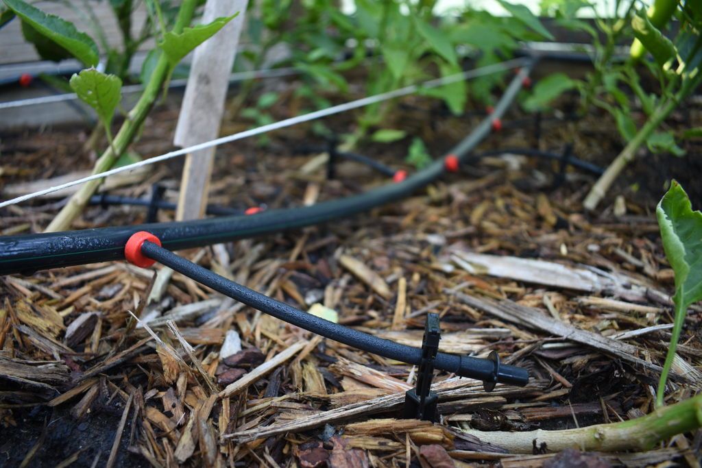 Garden & Irrigation Planning